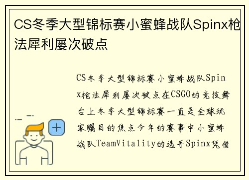 CS冬季大型锦标赛小蜜蜂战队Spinx枪法犀利屡次破点